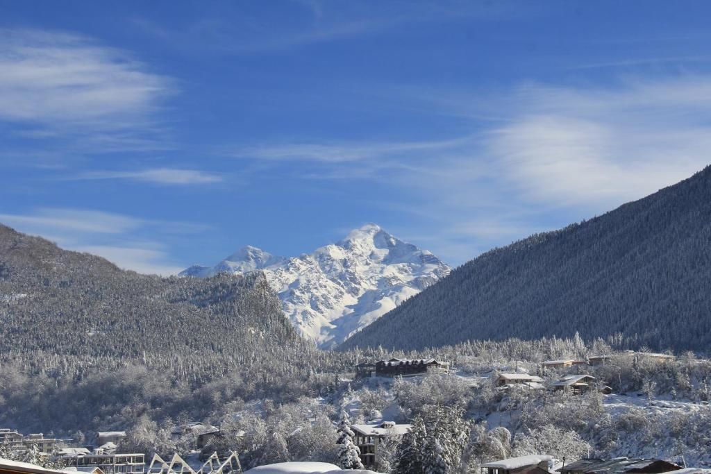 Отель Hotel Svaneti Местиа-58